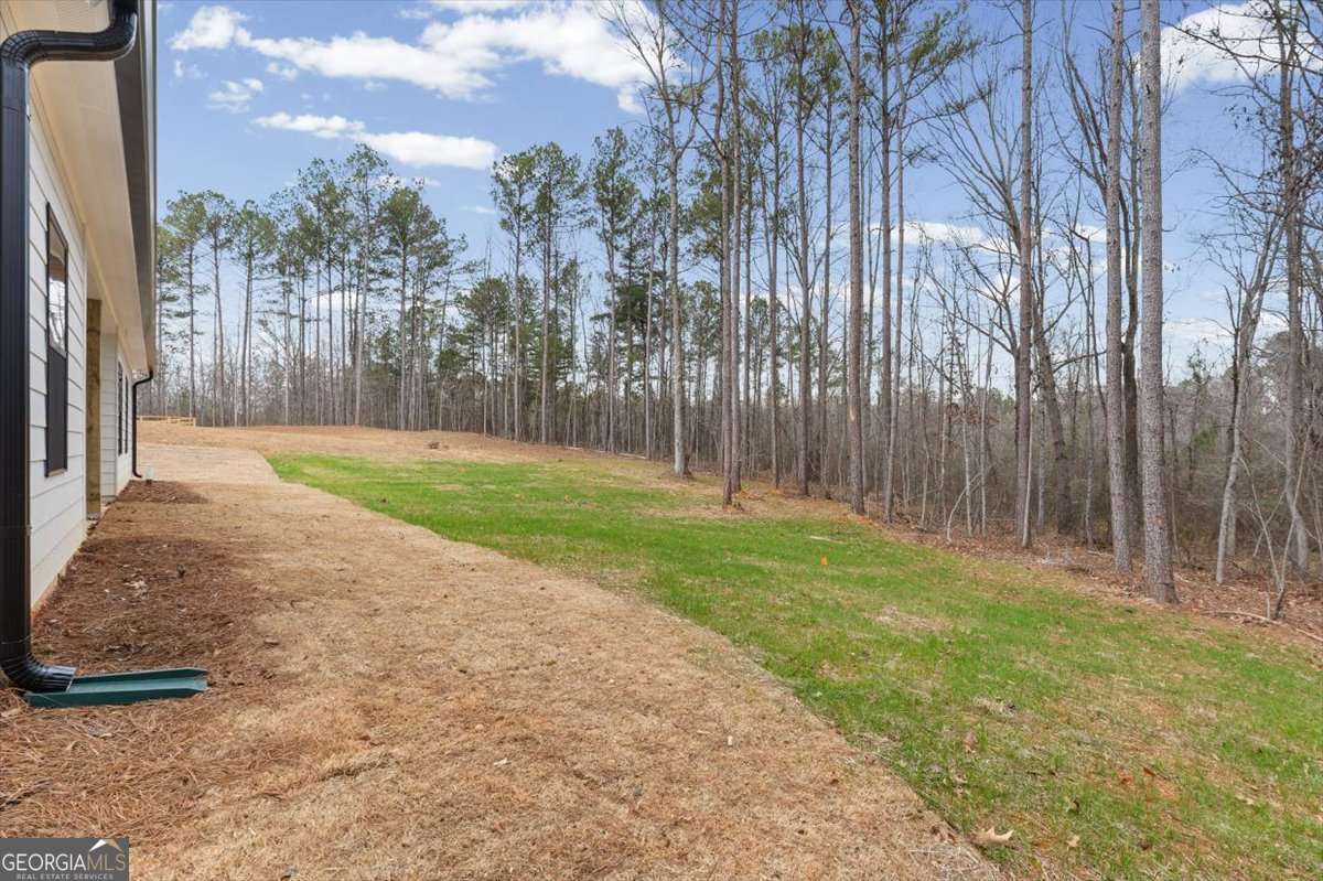 540 Presley Farm Parkway Rockmart GA 30153