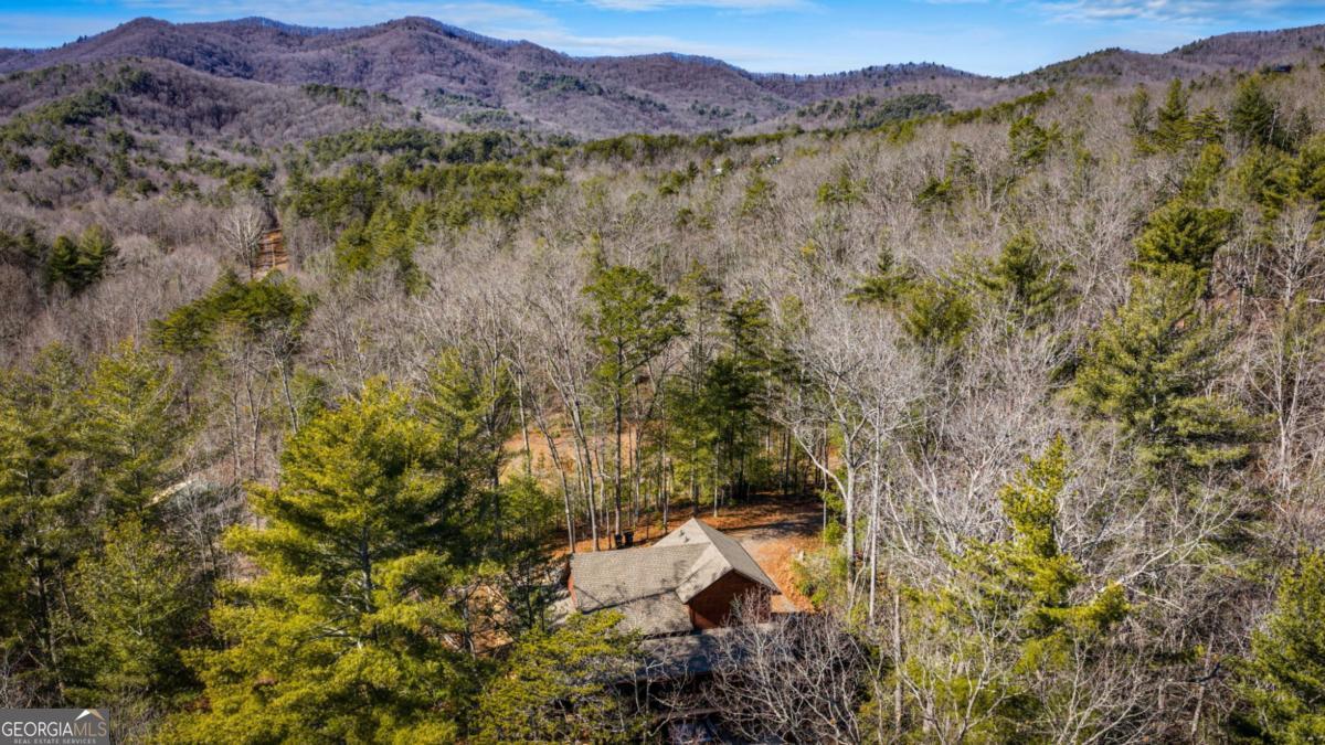155 Peppermint Lane Epworth GA 30541