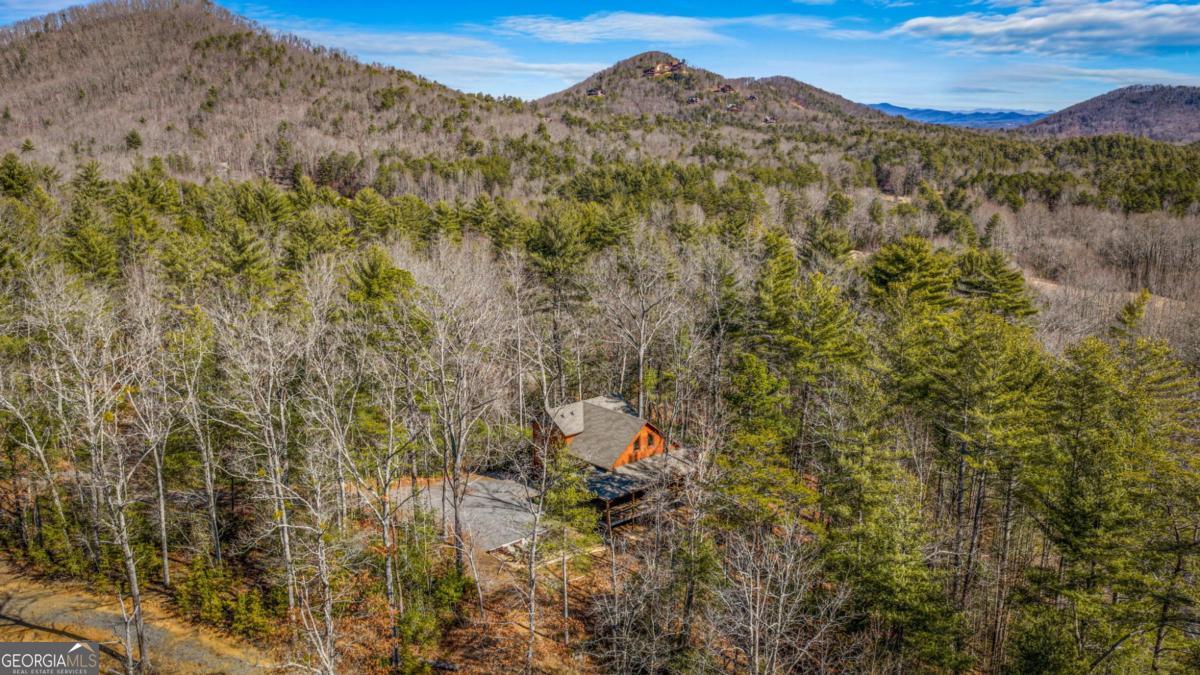 155 Peppermint Lane Epworth GA 30541