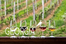 0 Forest Canopy Way Clayton GA 30525