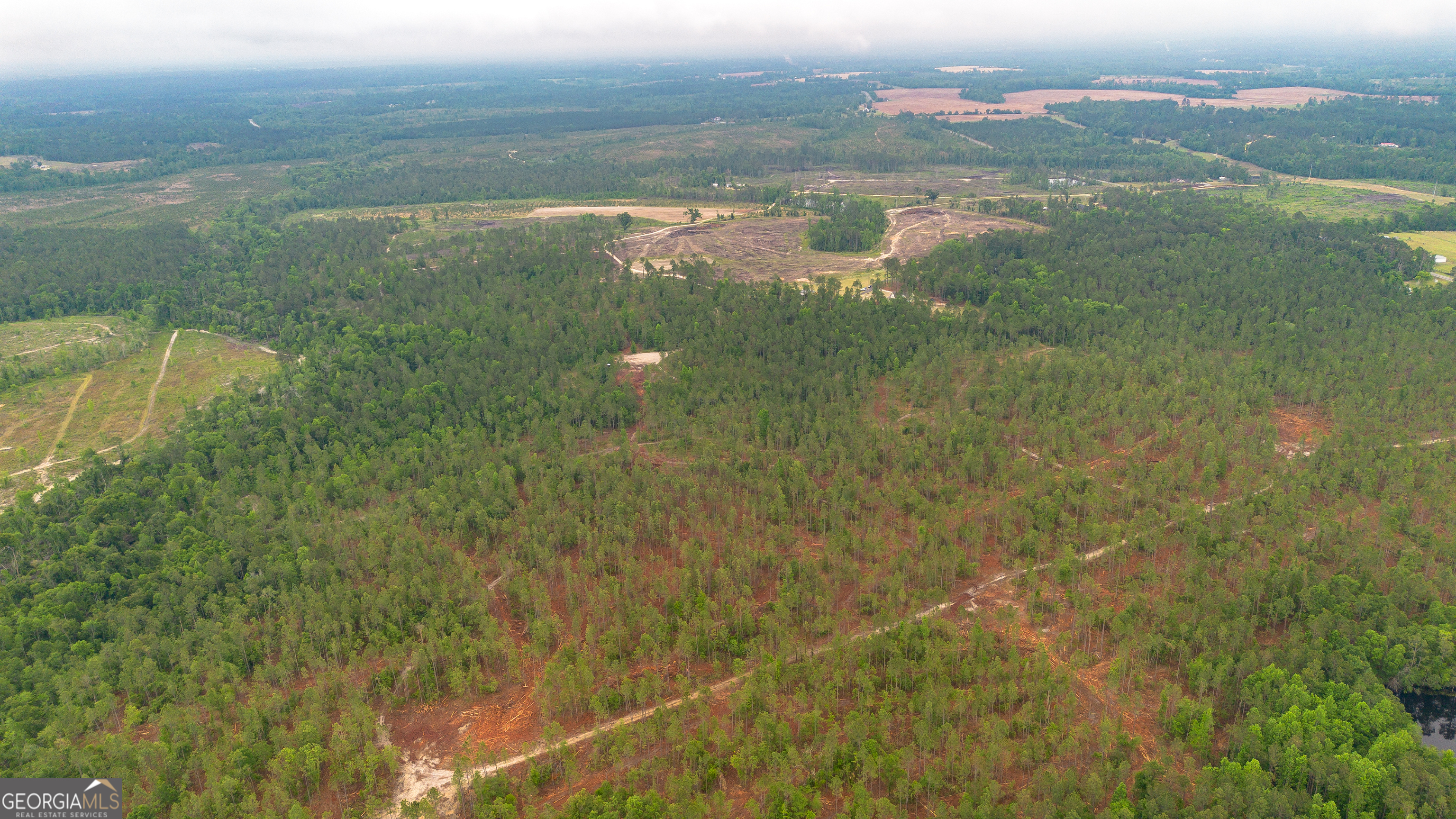 1065 Tarrytown Road Tarrytown GA 30470