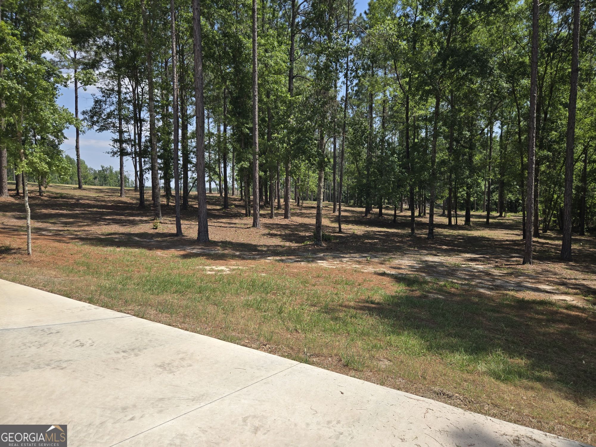 1065 Tarrytown Road Tarrytown GA 30470