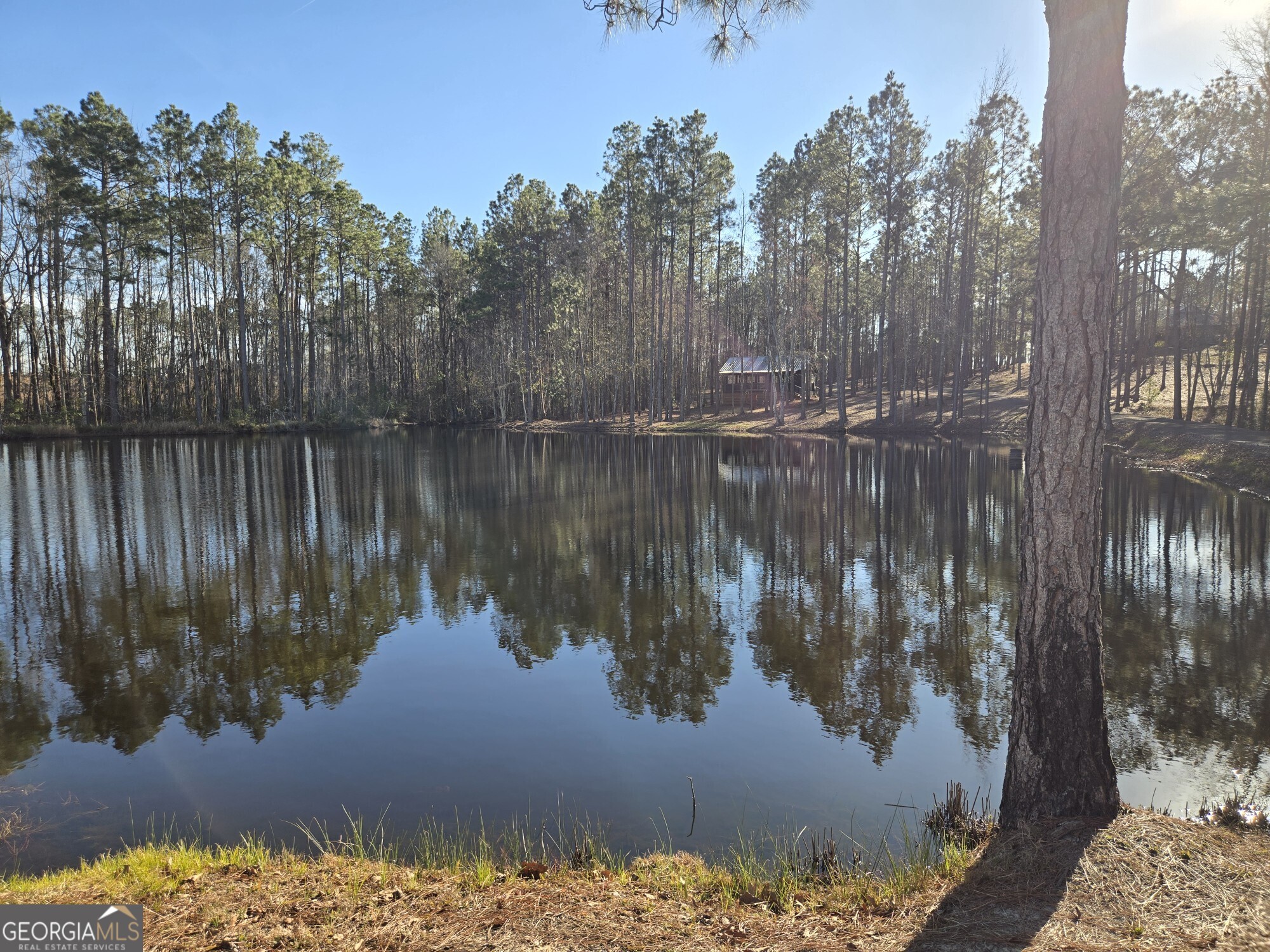 1065 Tarrytown Road Tarrytown GA 30470