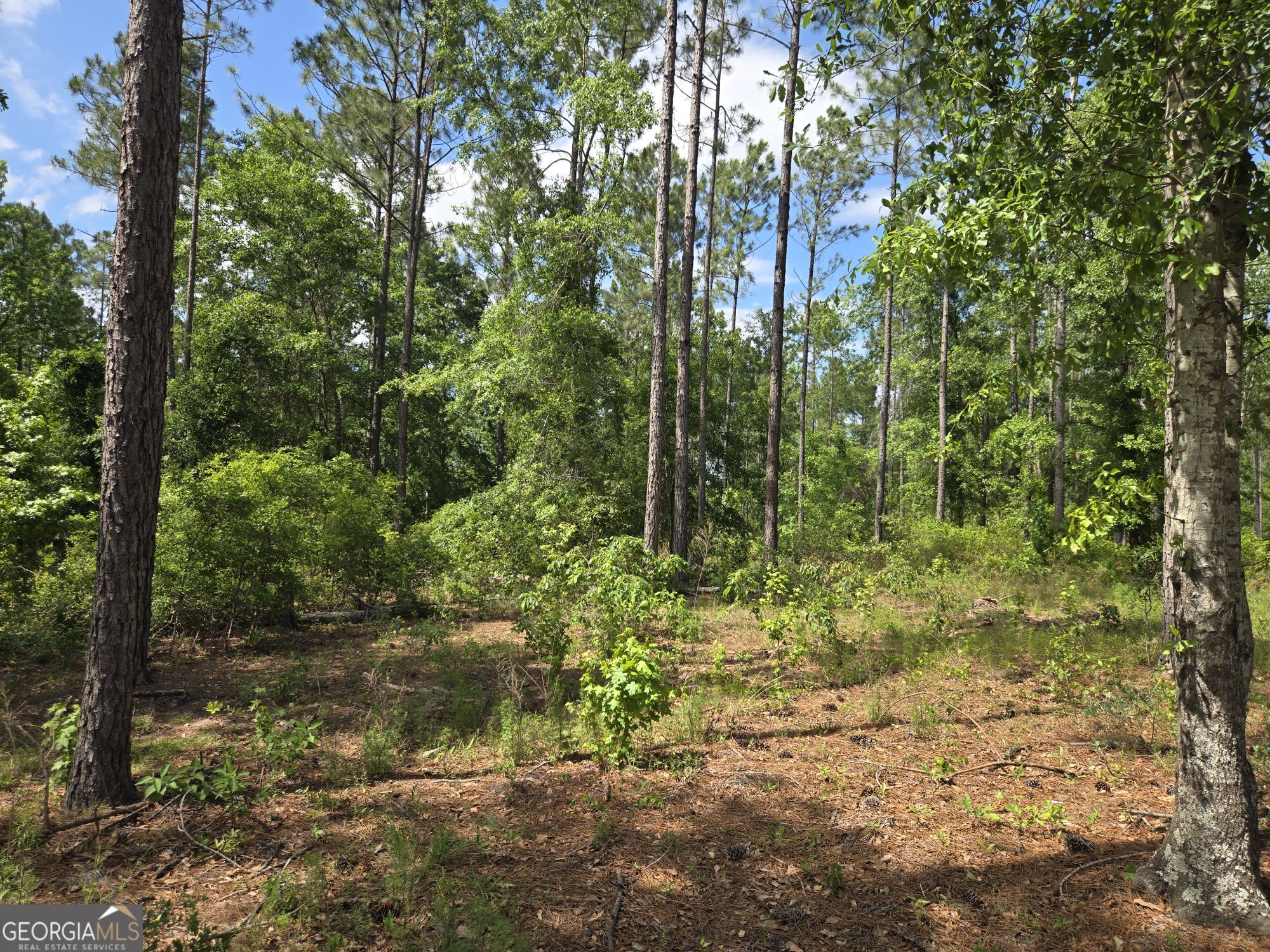 1065 Tarrytown Road Tarrytown GA 30470