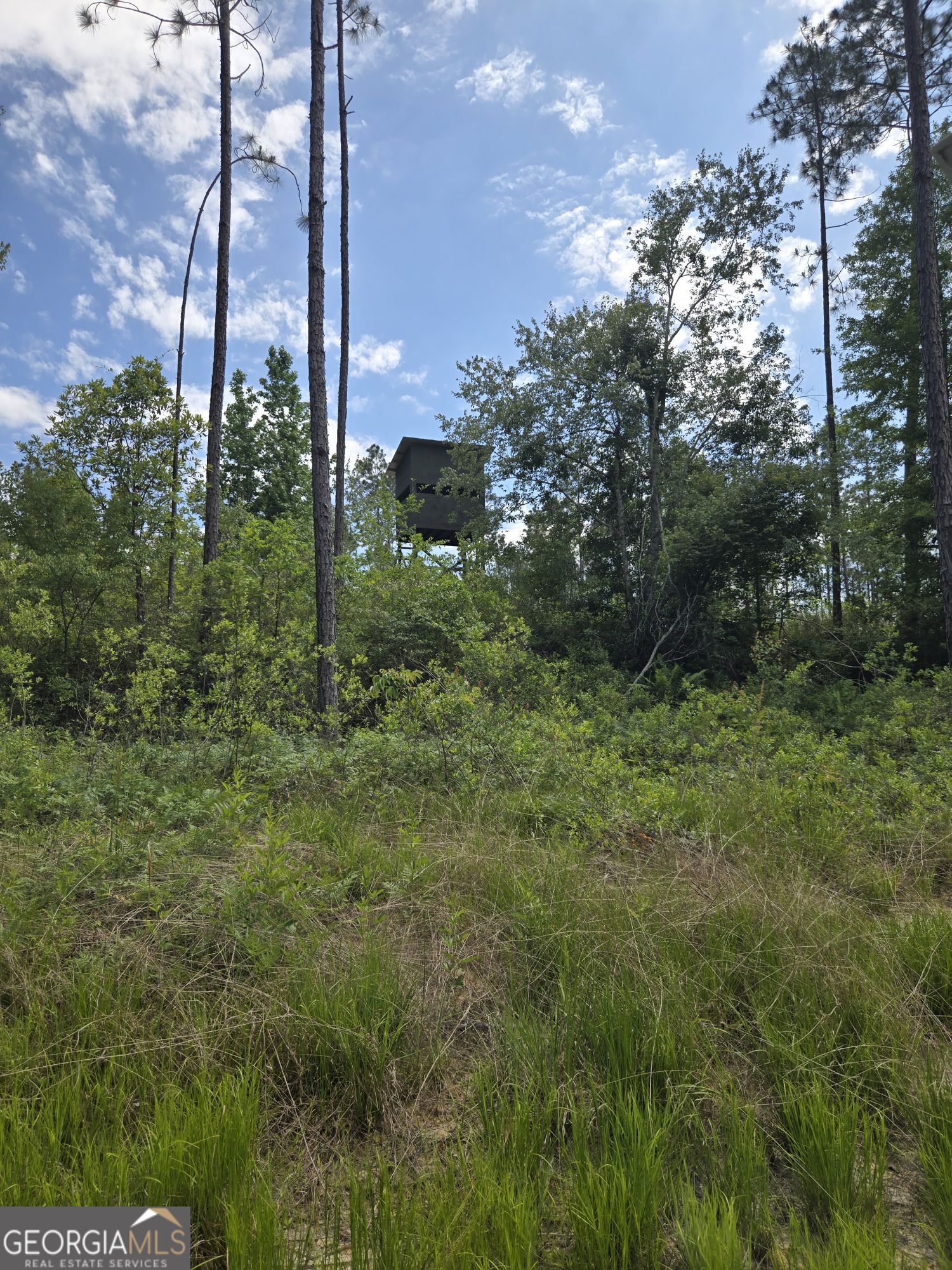 1065 Tarrytown Road Tarrytown GA 30470