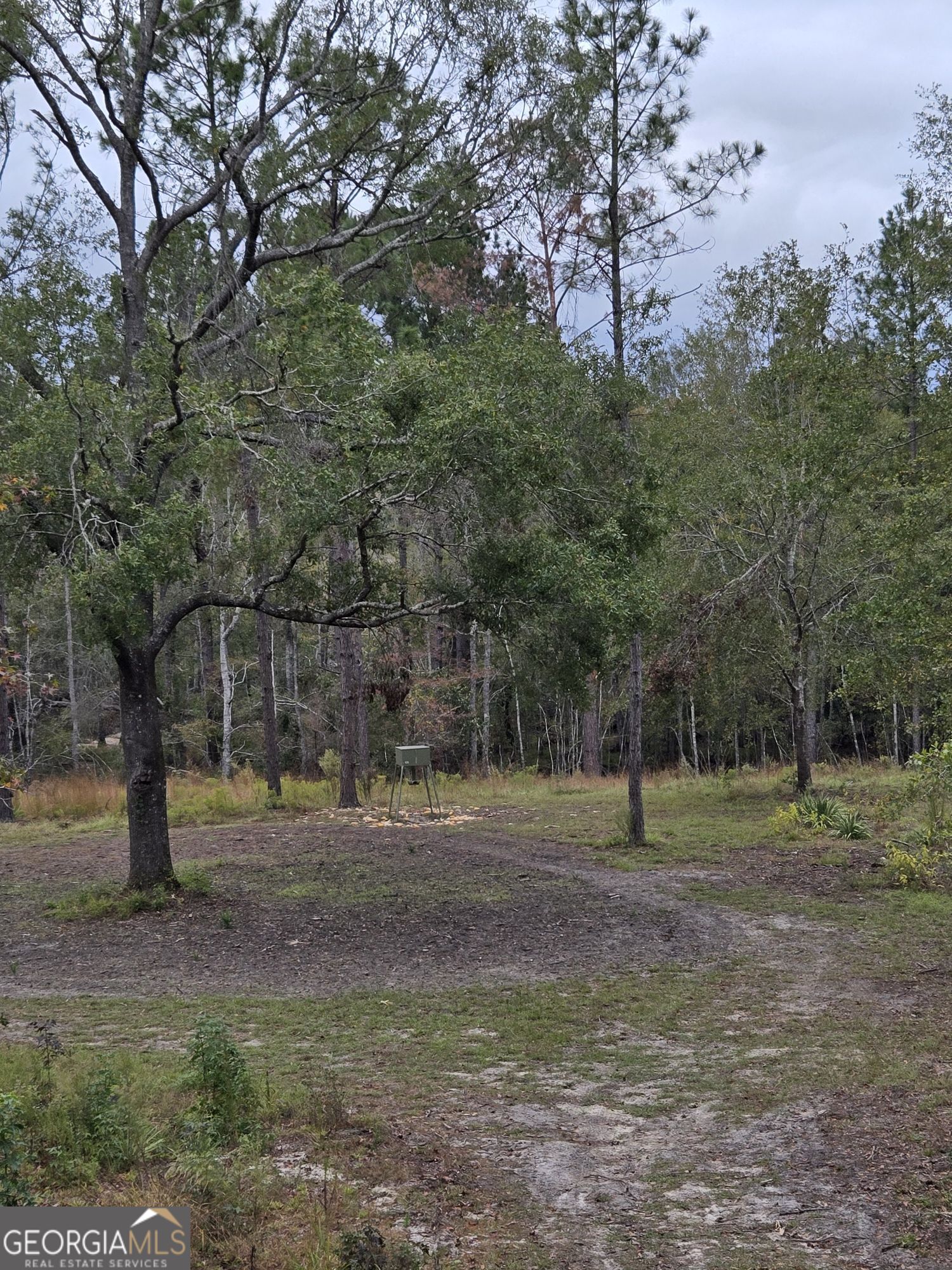 1065 Tarrytown Road Tarrytown GA 30470