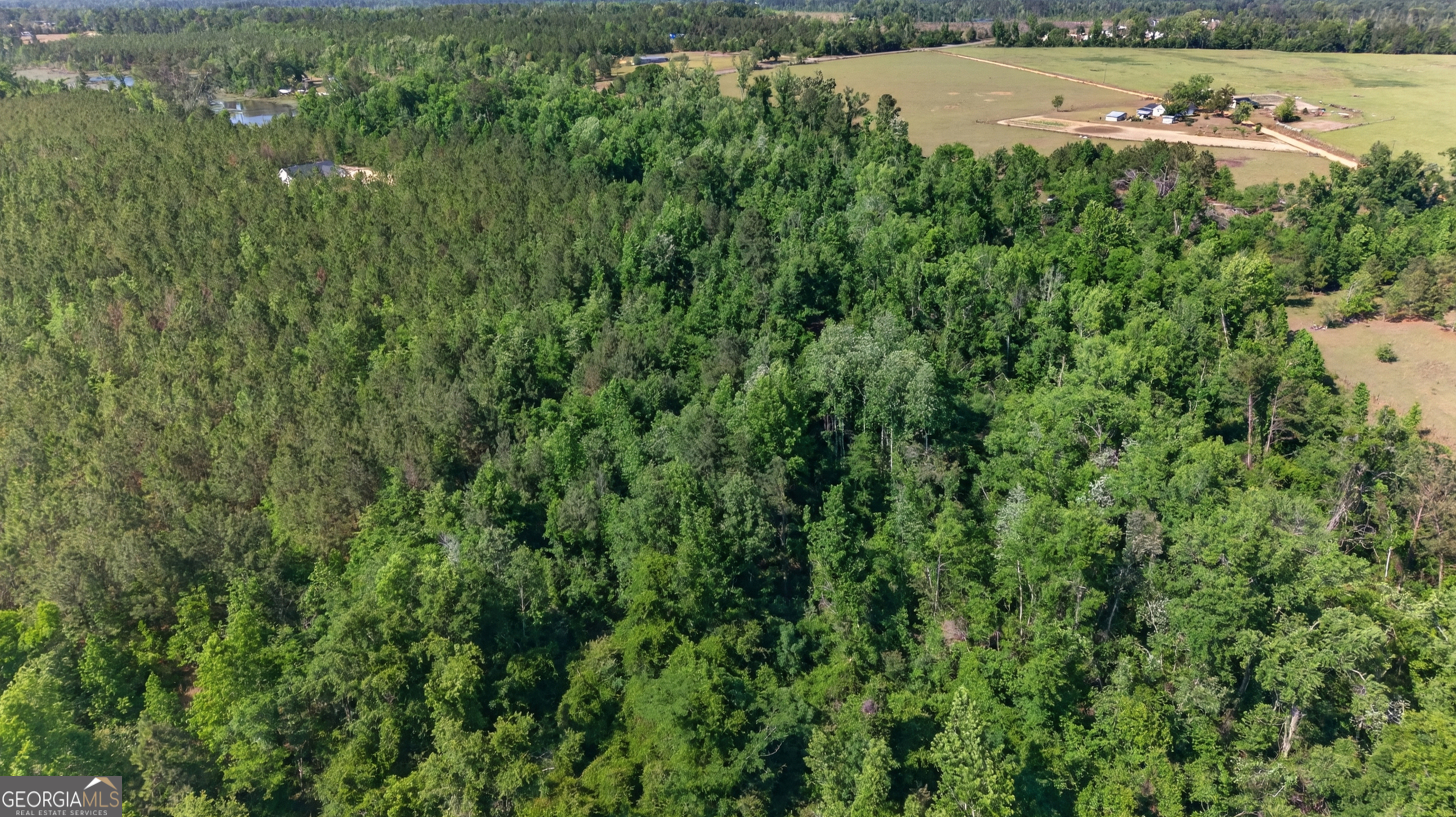 3472 Highway 46 Soperton GA 30457