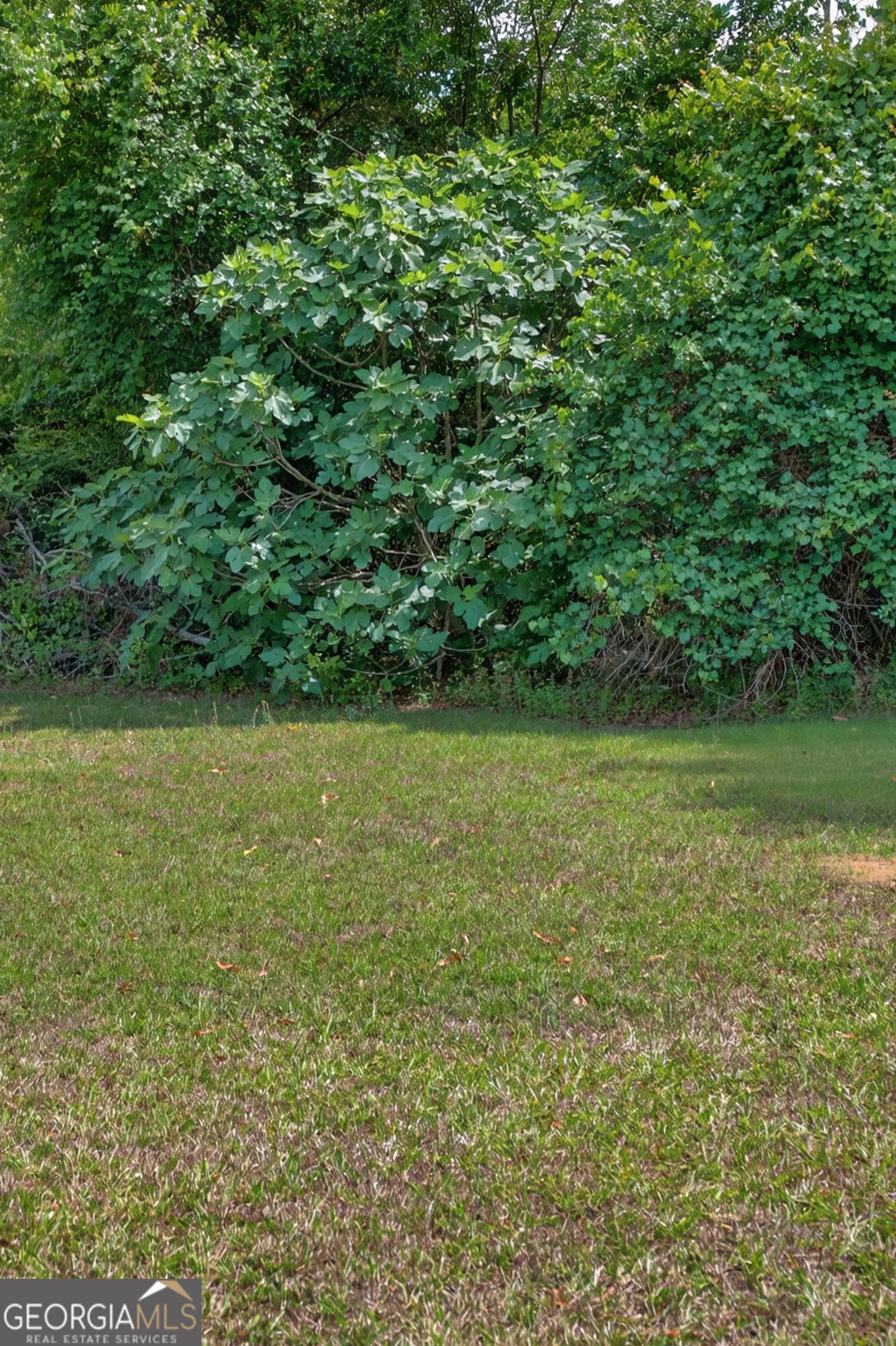 3472 Highway 46 Soperton GA 30457