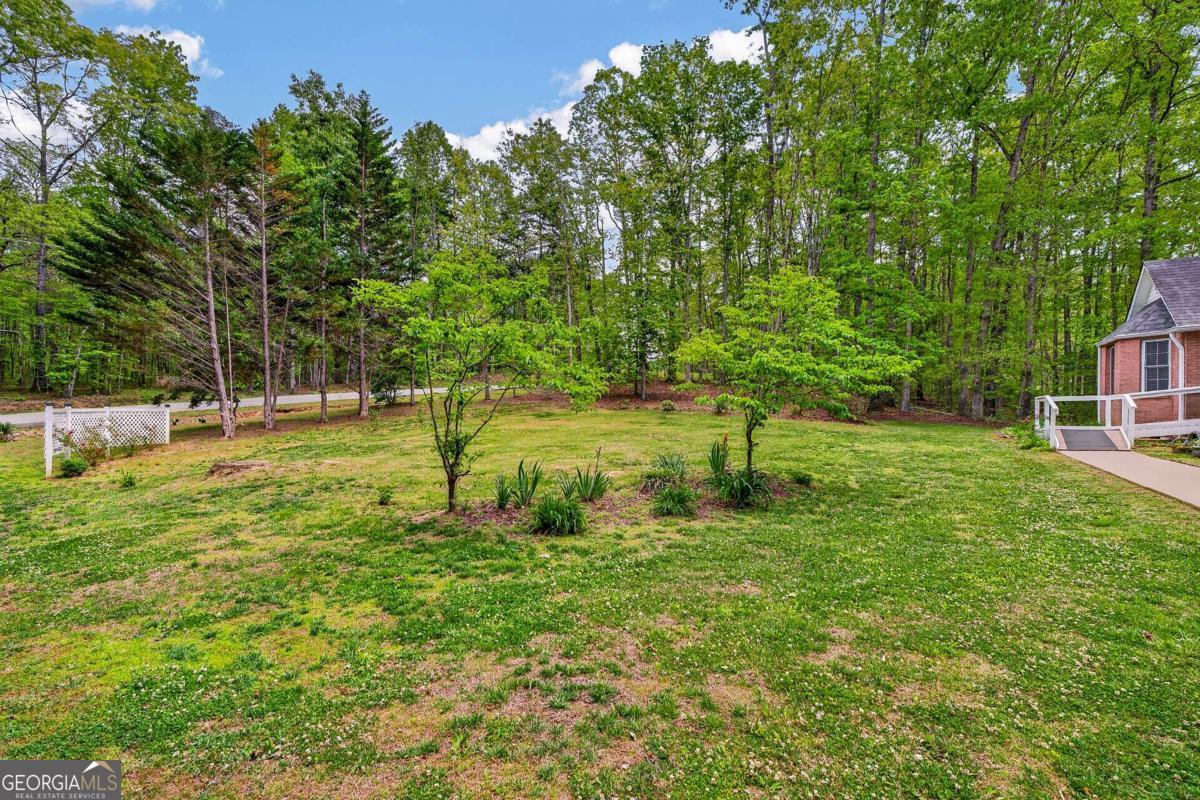 80 Sowers Road Blue Ridge GA 30513