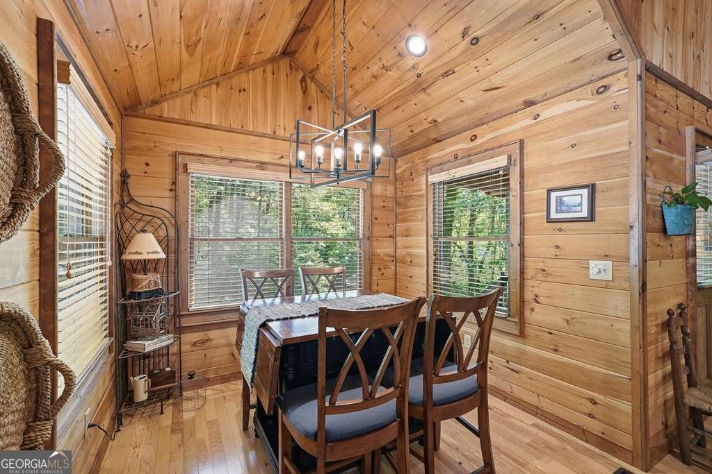 284 The Woods Road Mineral Bluff GA 30559