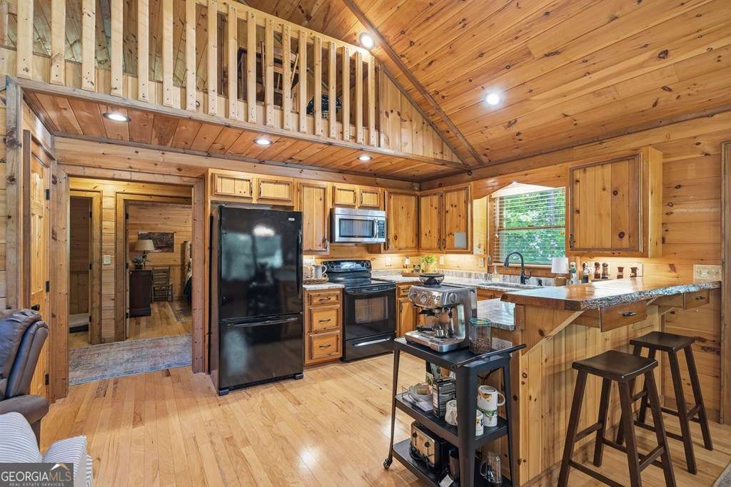 284 The Woods Road Mineral Bluff GA 30559