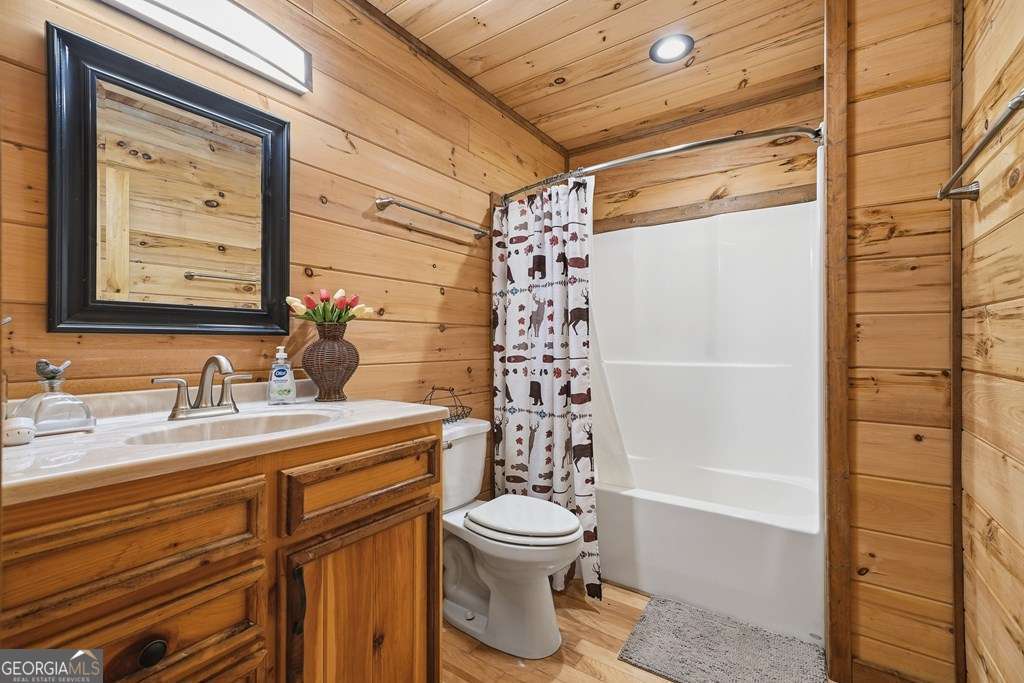 284 The Woods Road Mineral Bluff GA 30559