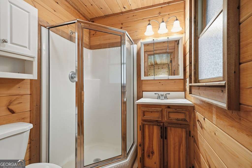 284 The Woods Road Mineral Bluff GA 30559