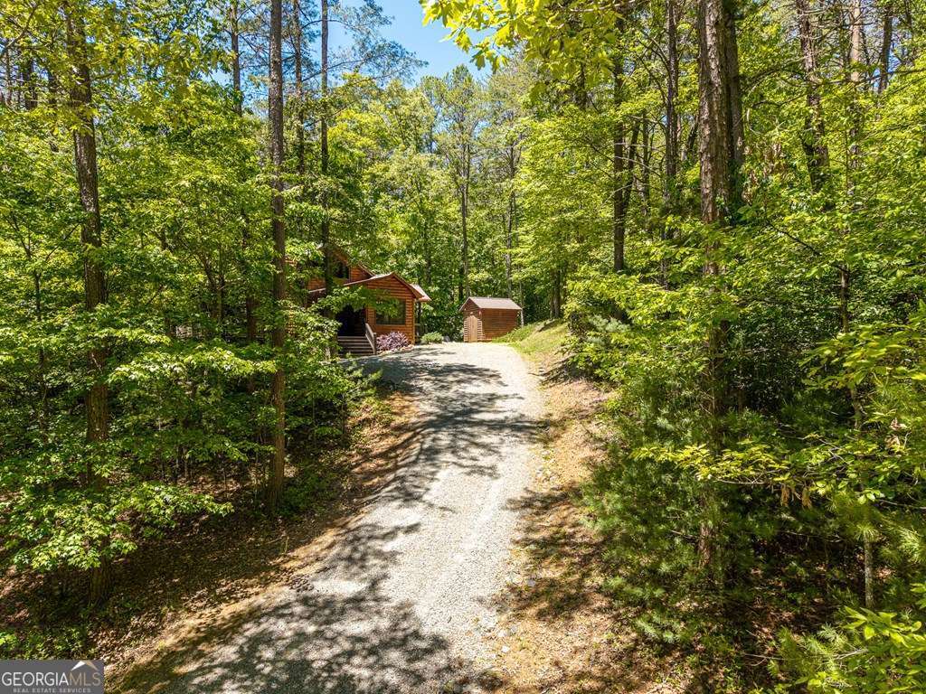 284 The Woods Road Mineral Bluff GA 30559