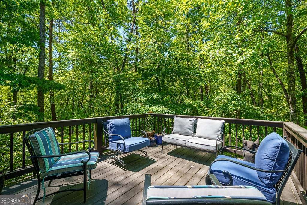 284 The Woods Road Mineral Bluff GA 30559