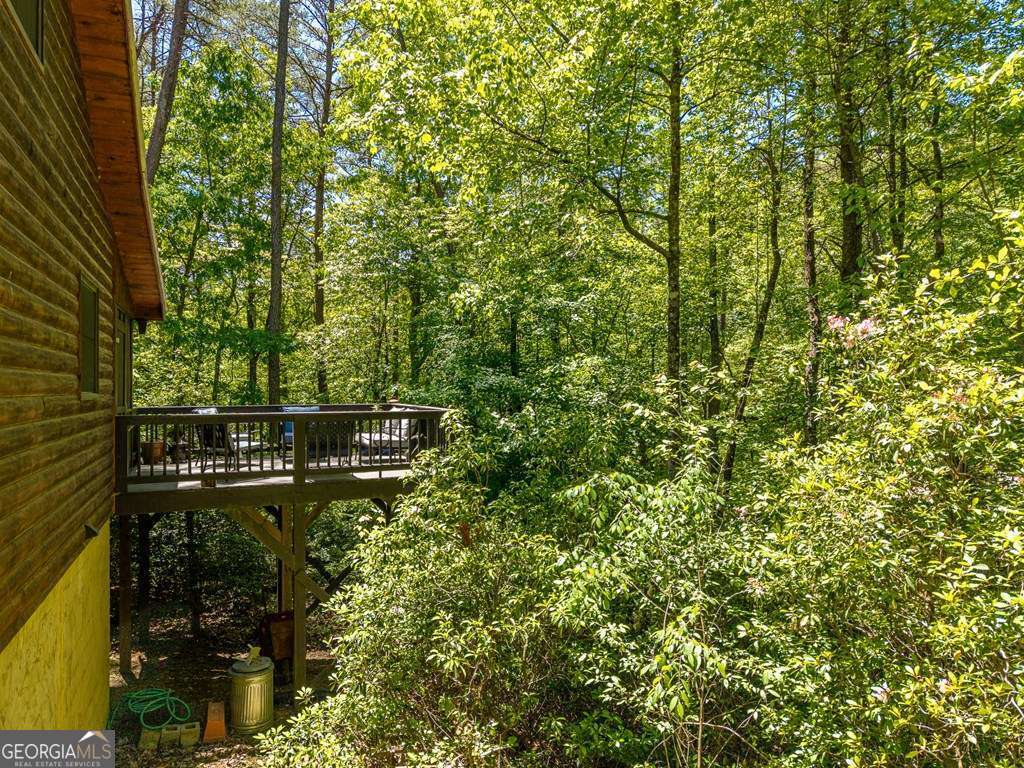 284 The Woods Road Mineral Bluff GA 30559