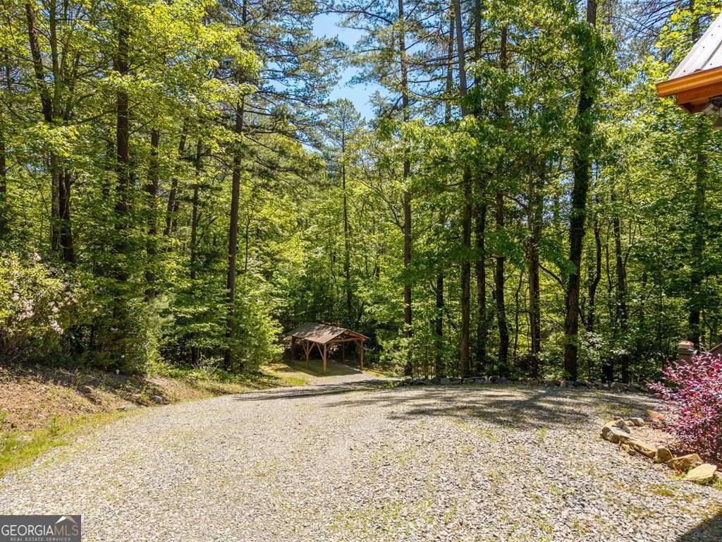 284 The Woods Road Mineral Bluff GA 30559
