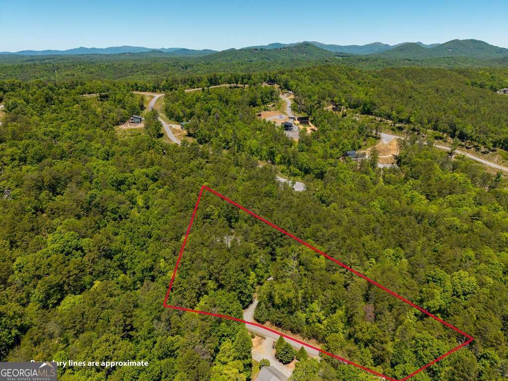 284 The Woods Road Mineral Bluff GA 30559