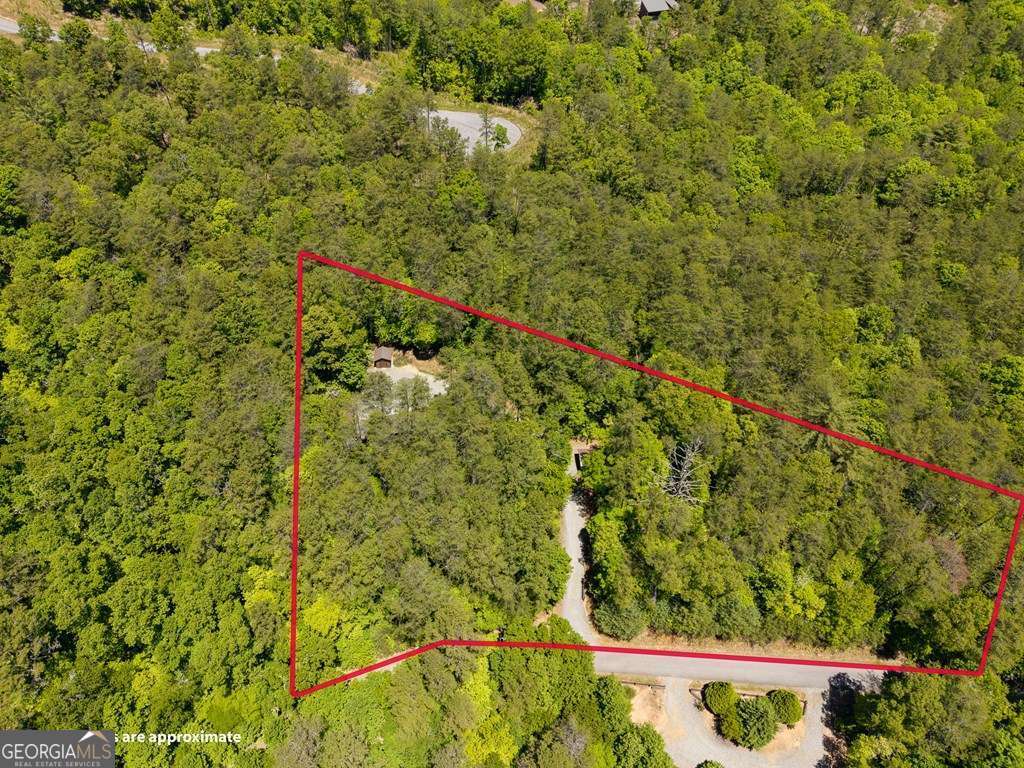 284 The Woods Road Mineral Bluff GA 30559