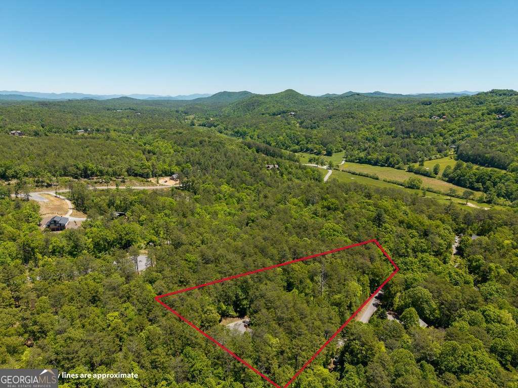 284 The Woods Road Mineral Bluff GA 30559
