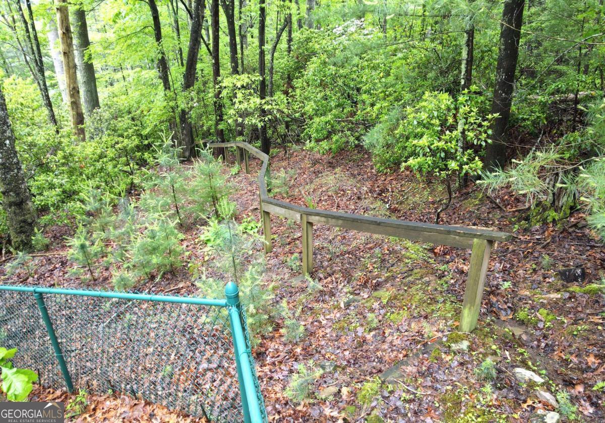 66 Pine Ridge Court Ellijay GA 30536