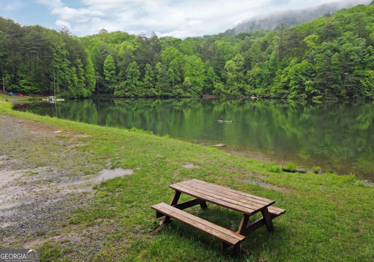 66 Pine Ridge Court Ellijay GA 30536
