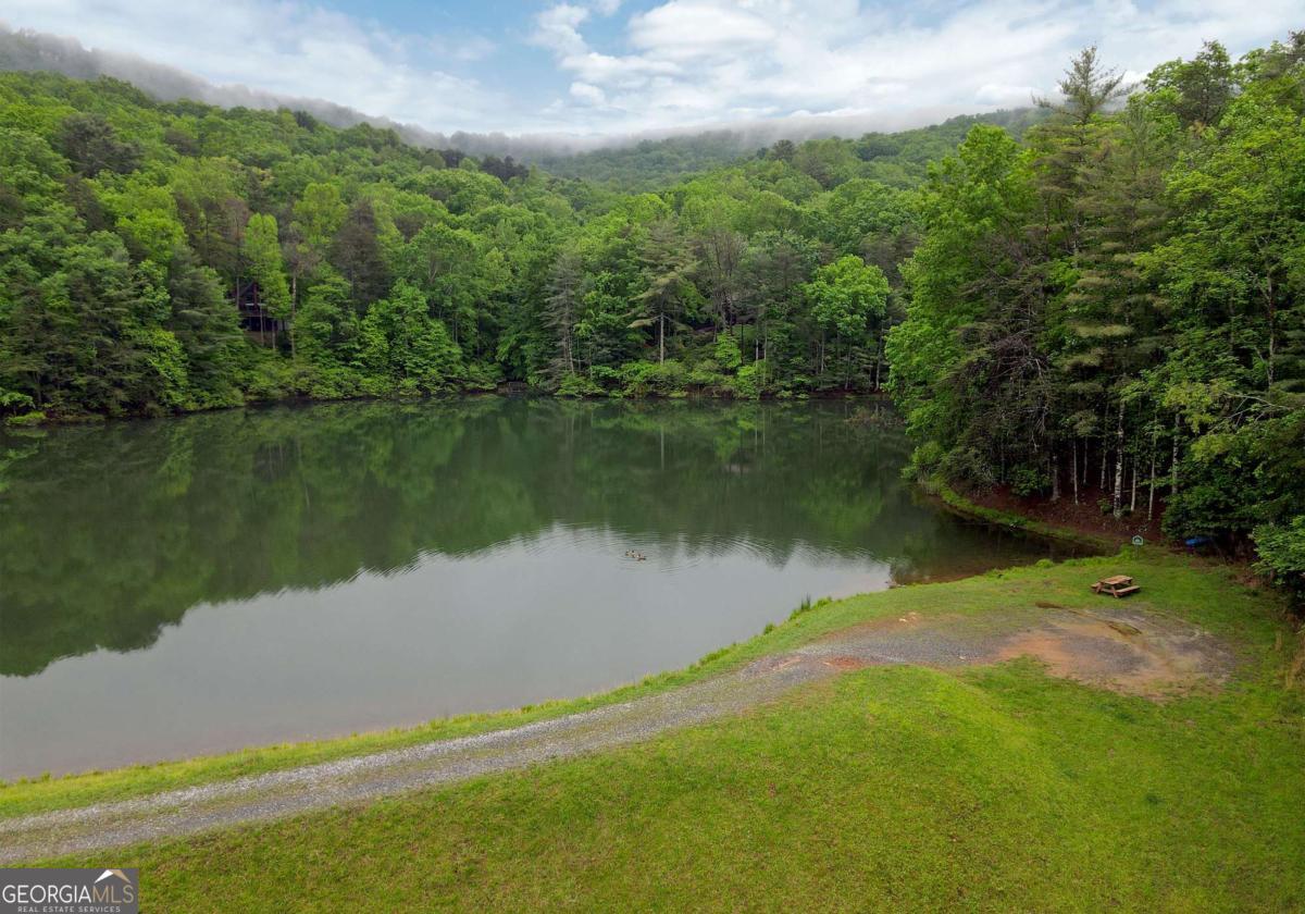 66 Pine Ridge Court Ellijay GA 30536
