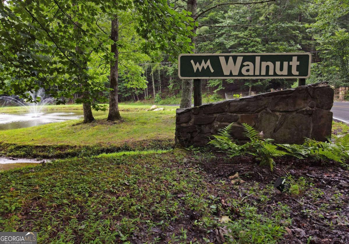 66 Pine Ridge Court Ellijay GA 30536