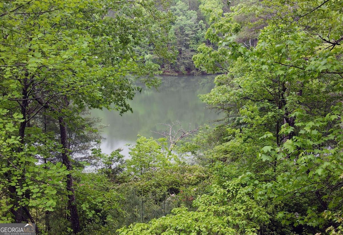 66 Pine Ridge Court Ellijay GA 30536