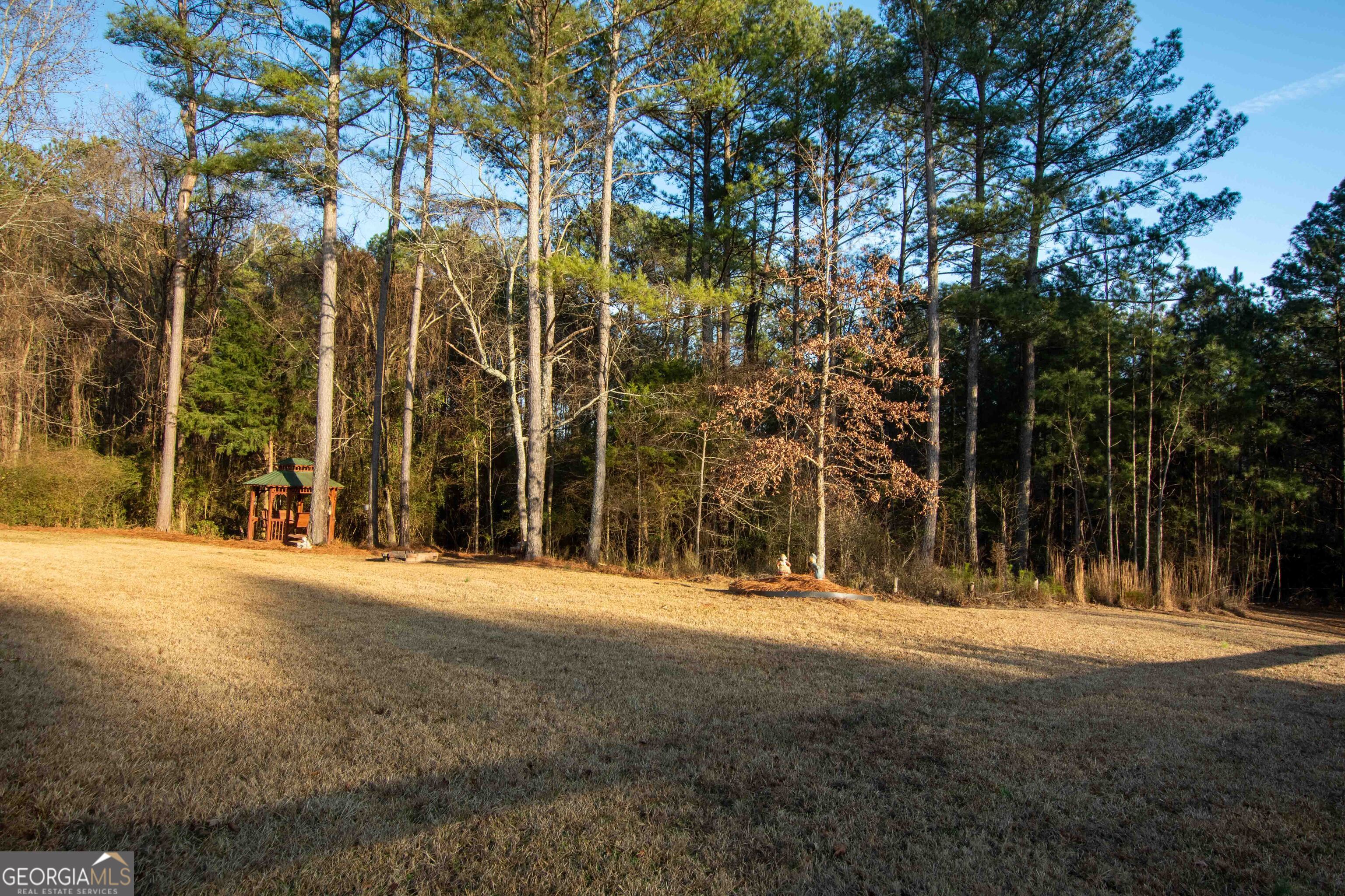 4218 Pine Hill Drive Loganville GA 30052