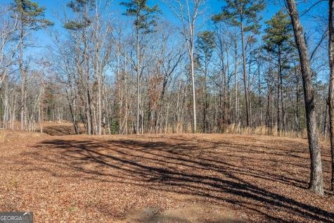 4011 Murphy Highway Mineral Bluff GA 30559