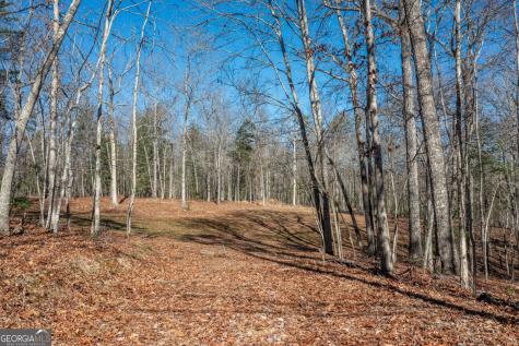4011 Murphy Highway Mineral Bluff GA 30559