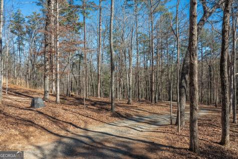 4011 Murphy Highway Mineral Bluff GA 30559