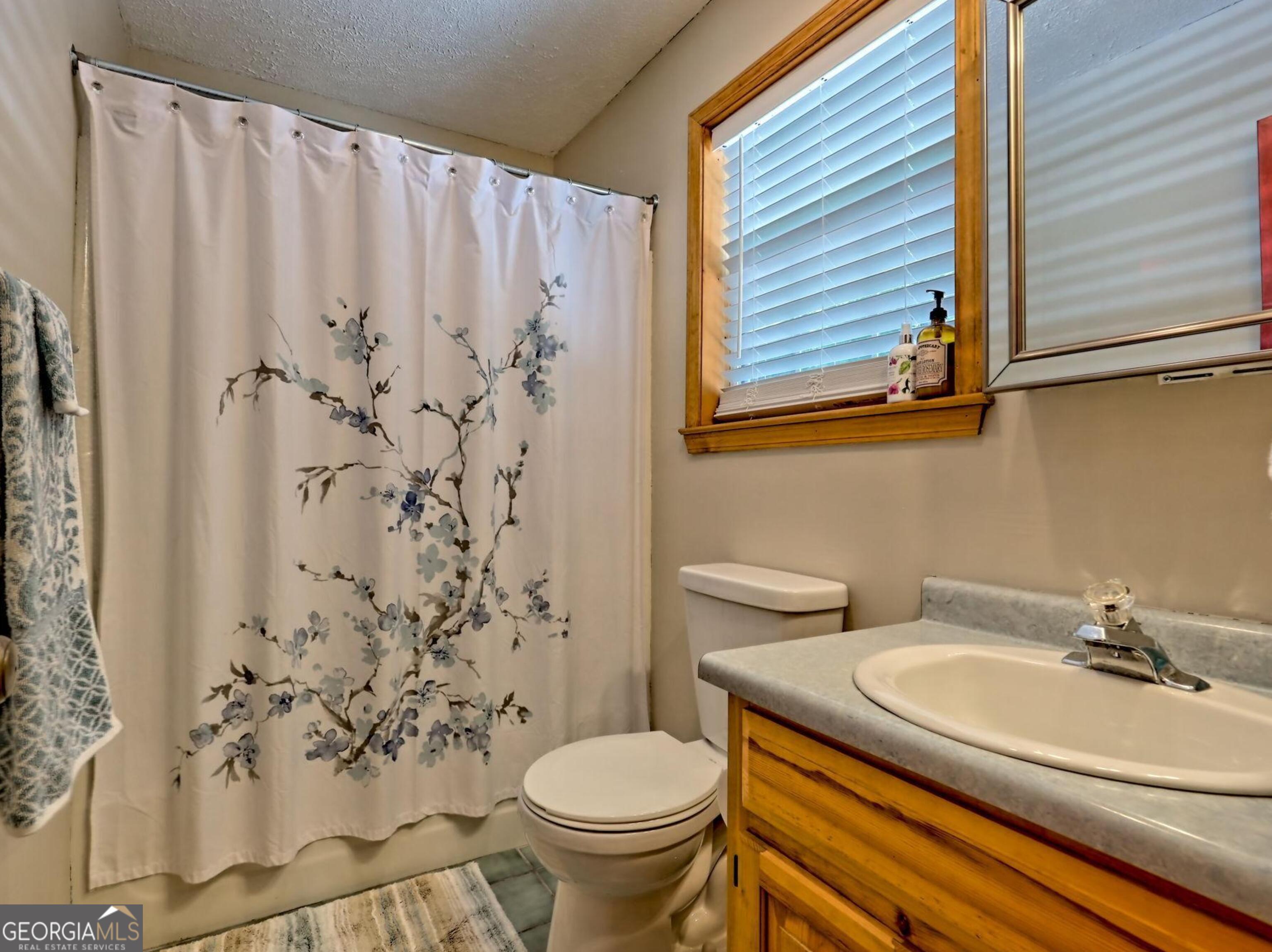 249 Spruce Creek Road Lakemont GA 30552