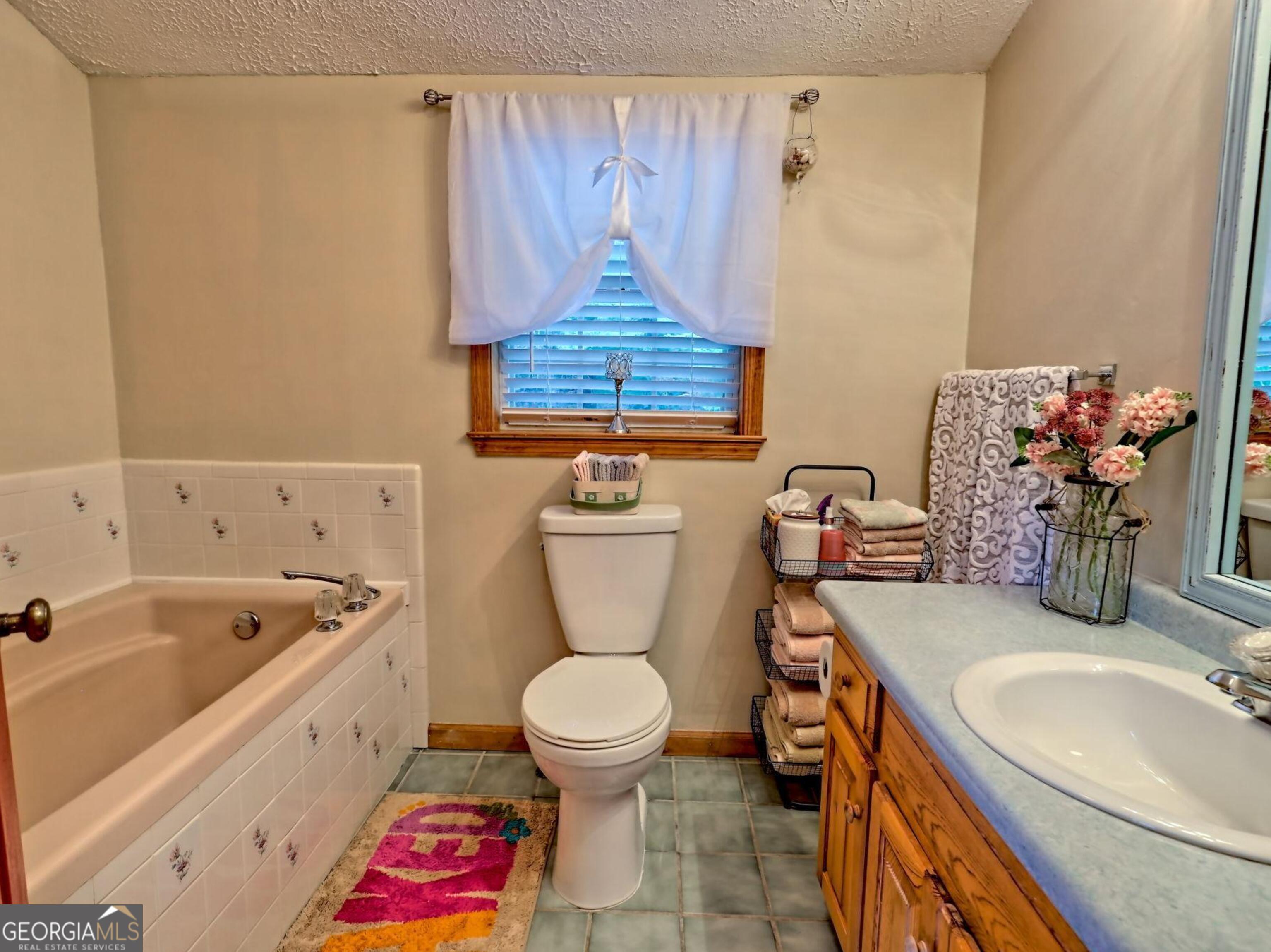 249 Spruce Creek Road Lakemont GA 30552