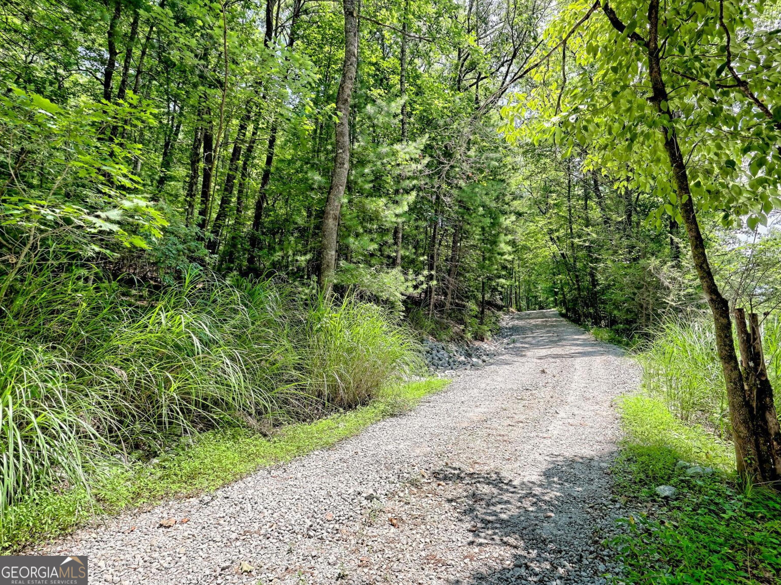 249 Spruce Creek Road Lakemont GA 30552