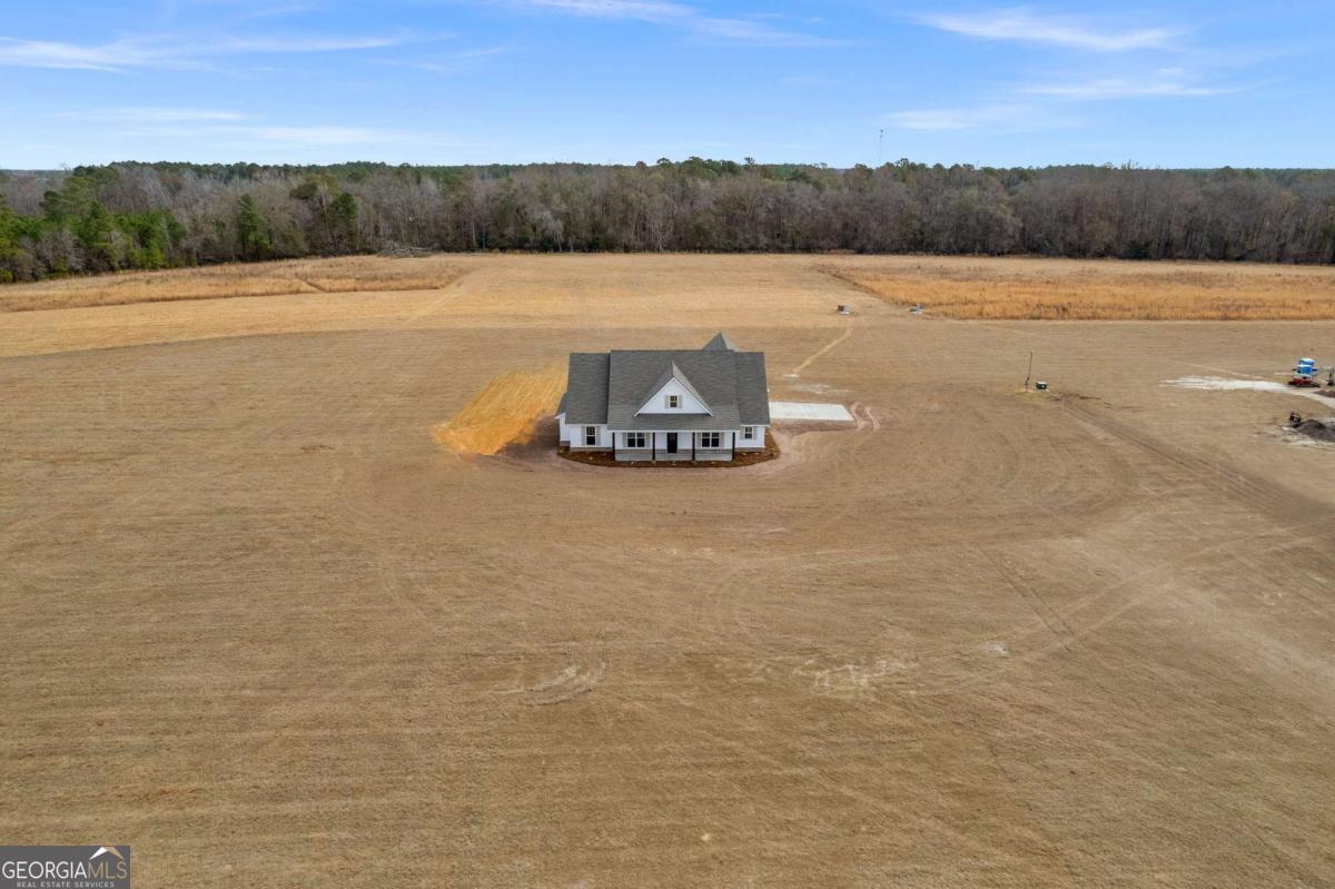 3514 Highway 121 Highway Blackshear GA 31516