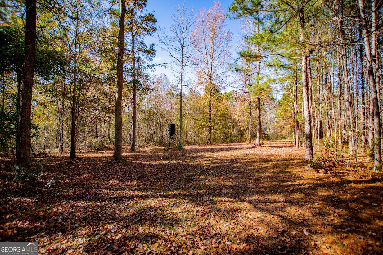 16 Garrett Avenue Bremen GA 30110