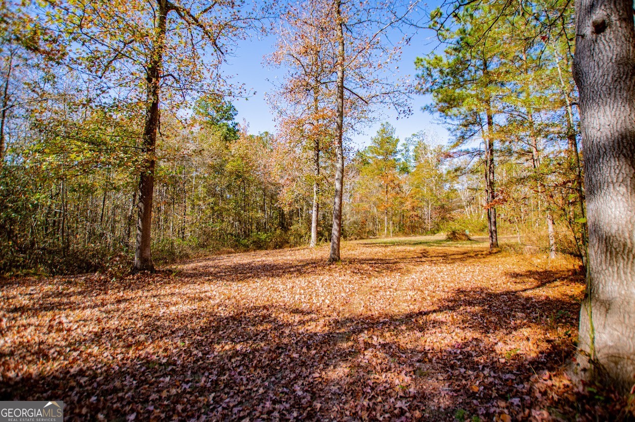 16 Garrett Avenue Bremen GA 30110