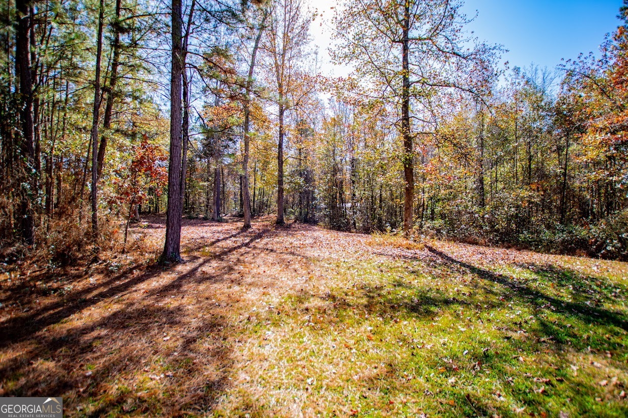 16 Garrett Avenue Bremen GA 30110