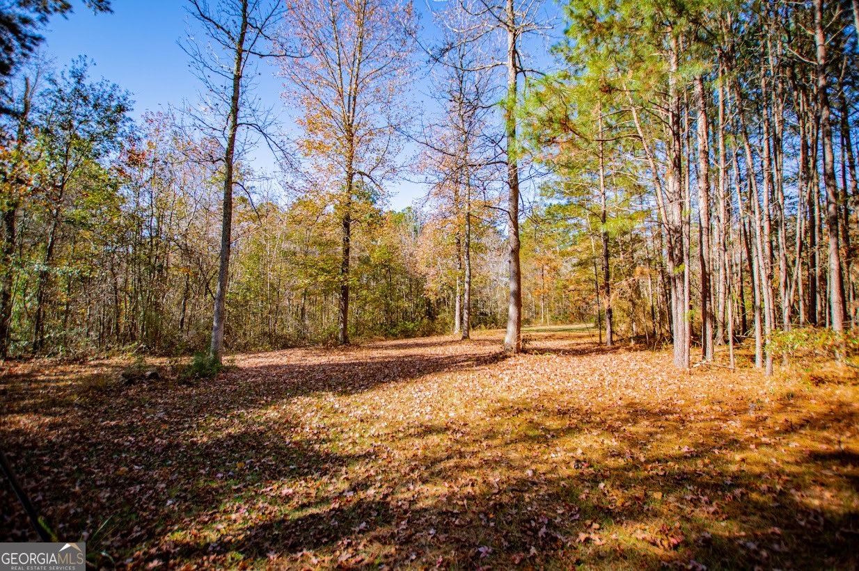 16 Garrett Avenue Bremen GA 30110