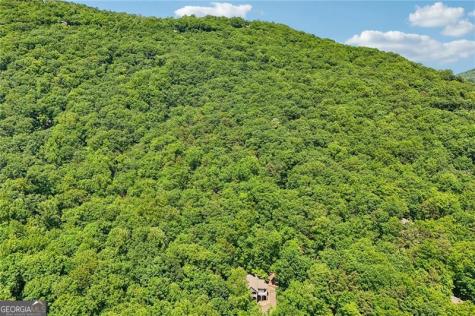 22 Windflower Drive Big Canoe GA 30143