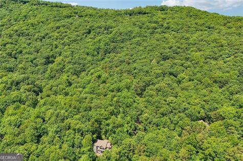 22 Windflower Drive Big Canoe GA 30143