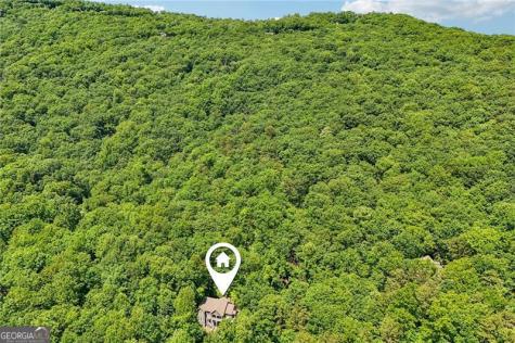 22 Windflower Drive Big Canoe GA 30143