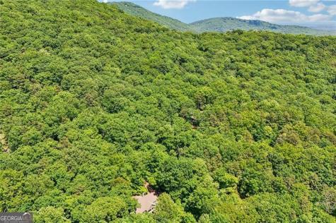 22 Windflower Drive Big Canoe GA 30143
