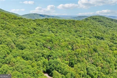 22 Windflower Drive Big Canoe GA 30143