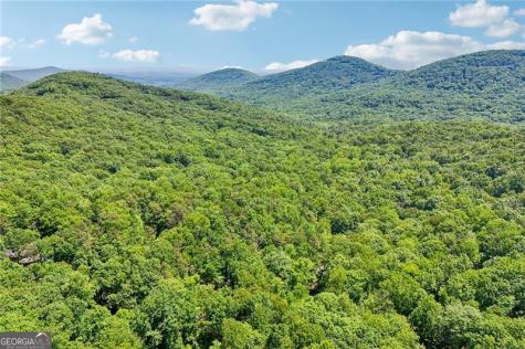 22 Windflower Drive Big Canoe GA 30143