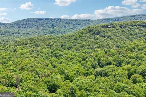 22 Windflower Drive Big Canoe GA 30143