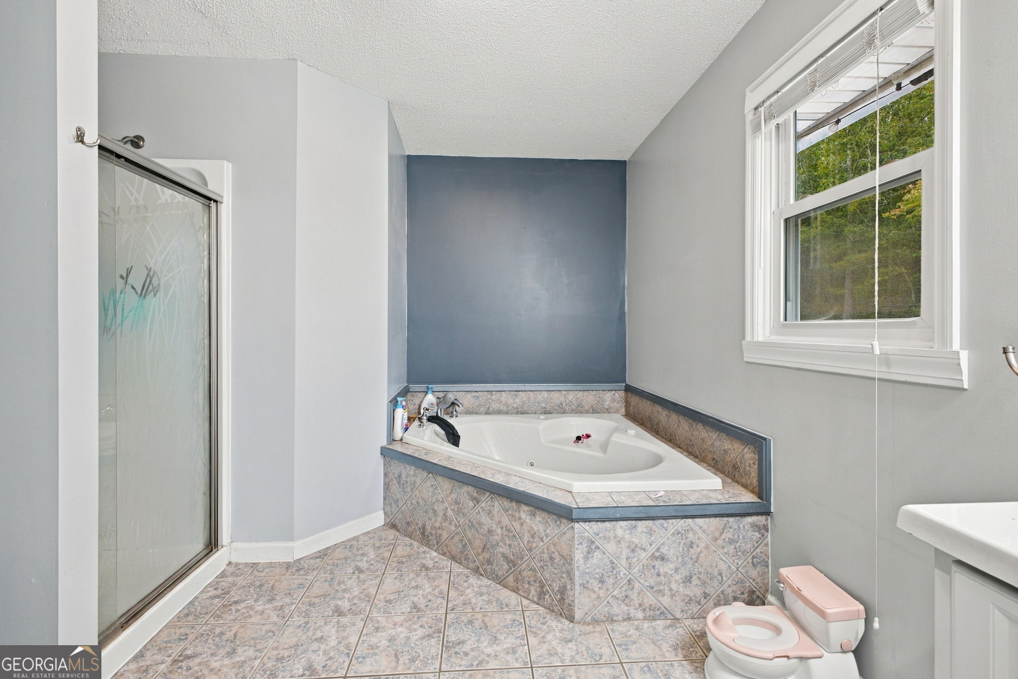 50 Pond Mill Court SE Silver Creek GA 30173
