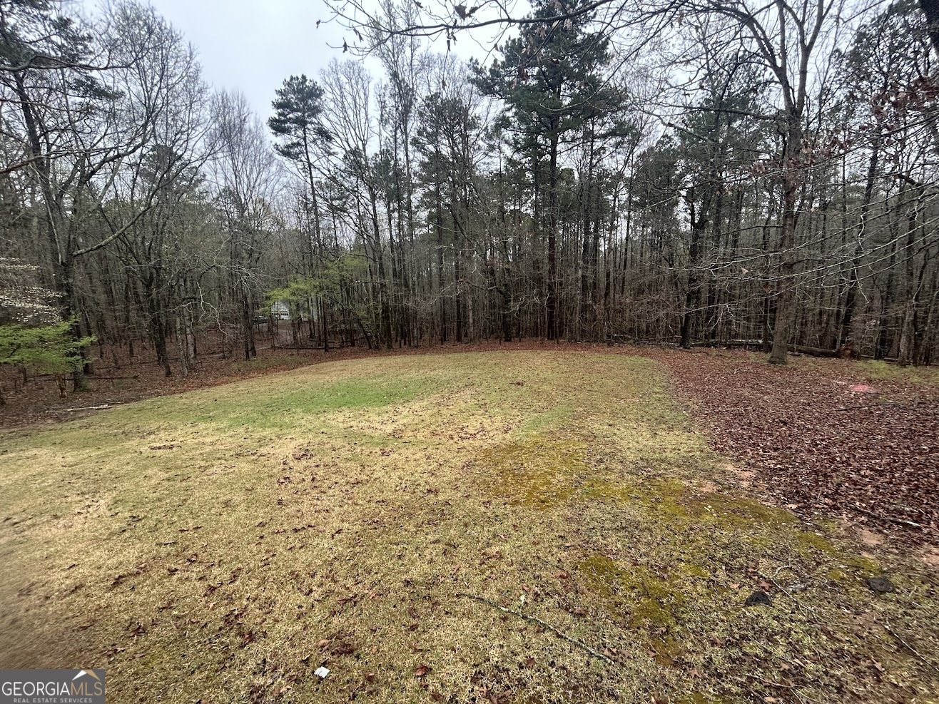 8896 Hickory Hollow Drive Douglasville GA 30135